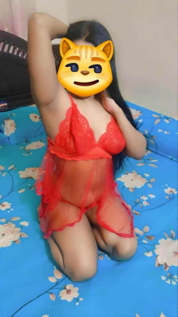 নাভিলা গ্যালারি ছবি 4